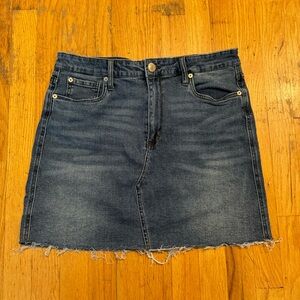 STS Blue Denim Skirt